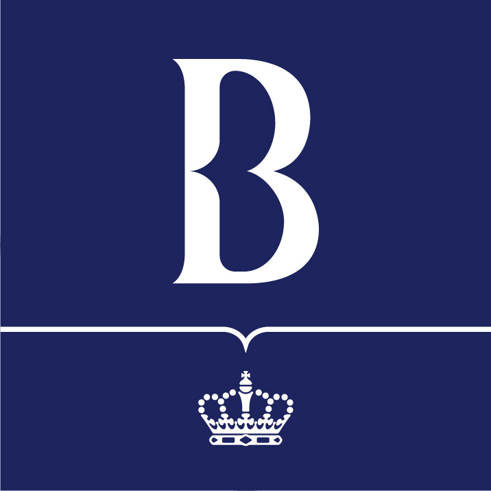 Koning Boudewijnstichting
